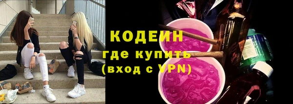гашик Сосновый Бор