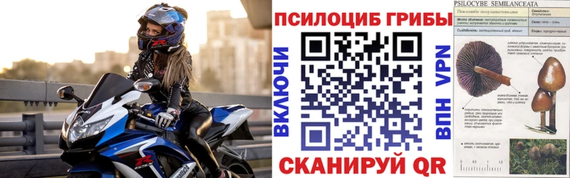 Галлюциногенные грибы мицелий  закладка  KRAKEN ONION  Краснокаменск 