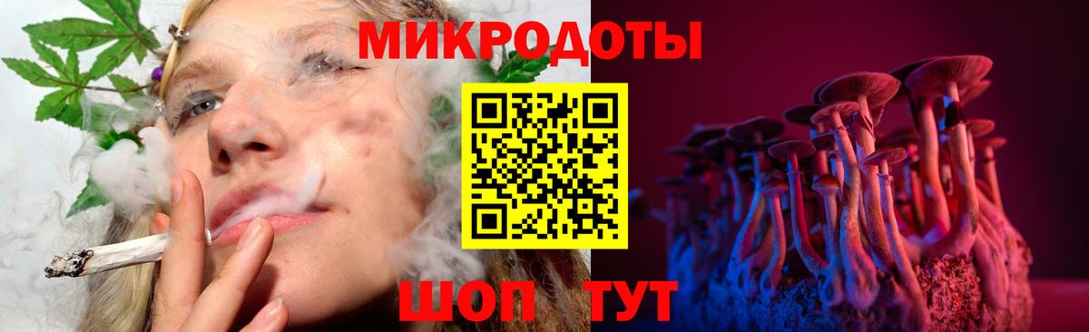 Краснокаменск  Псилоцибиновые грибы Cubensis  Вход с VPN 
