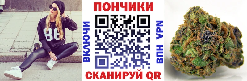 Бошки марихуана индика  Краснокаменск 